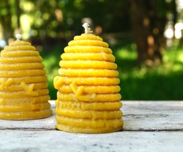 Bester Bienenhonig … aus dem Bauernland Inn-Salzach